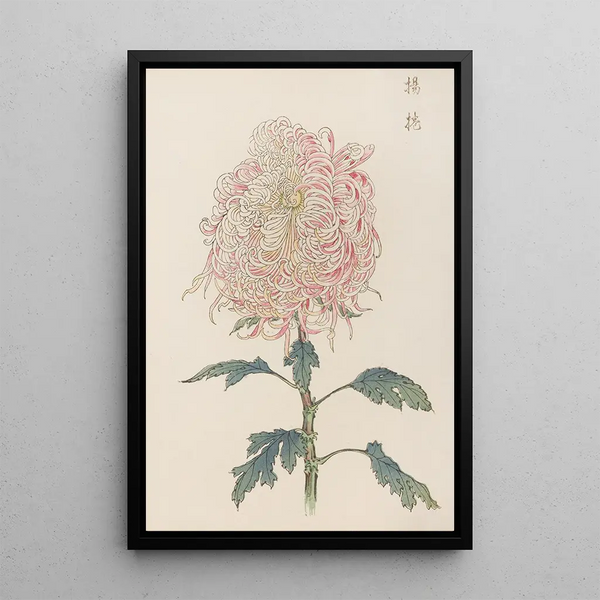 Keika hyakugiku Pl22 - Keika Hasegawa — framed artwork on a wall