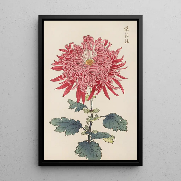 Keika hyakugiku Pl24 - Keika Hasegawa — framed artwork on a wall