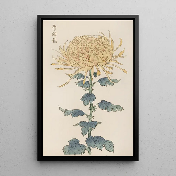 Keika hyakugiku Pl26 - Keika Hasegawa — framed artwork on a wall