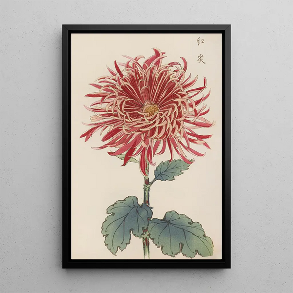Keika hyakugiku Pl27 - Keika Hasegawa — framed artwork on a wall