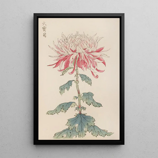 Keika hyakugiku Pl28 - Keika Hasegawa — framed artwork on a wall