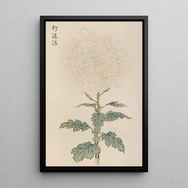 Keika hyakugiku Pl29 - Keika Hasegawa — framed artwork on a wall