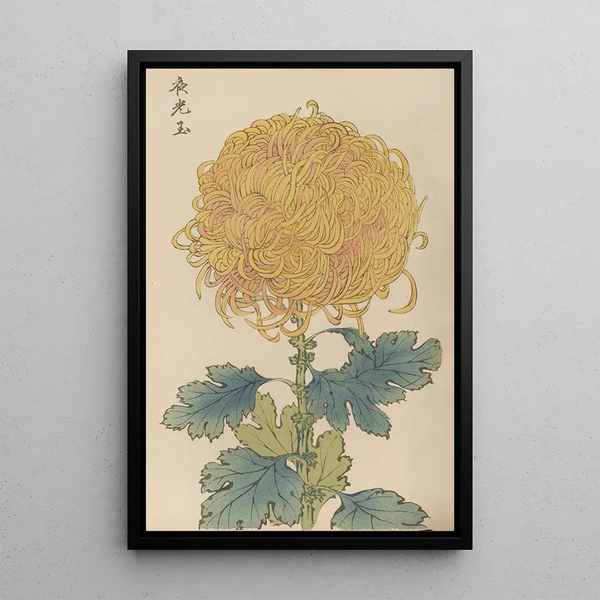 Keika hyakugiku Pl31 - Keika Hasegawa — framed artwork on a wall