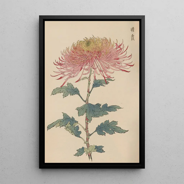 Keika hyakugiku Pl32 - Keika Hasegawa — framed artwork on a wall