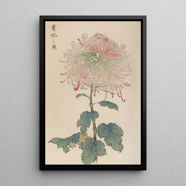 Keika hyakugiku Pl36 - Keika Hasegawa — framed artwork on a wall