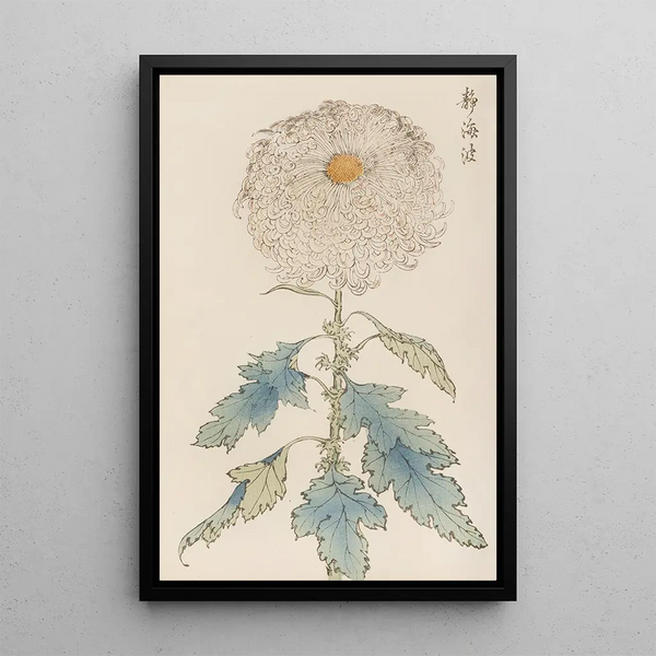 Keika hyakugiku Pl37 - Keika Hasegawa — framed artwork on a wall