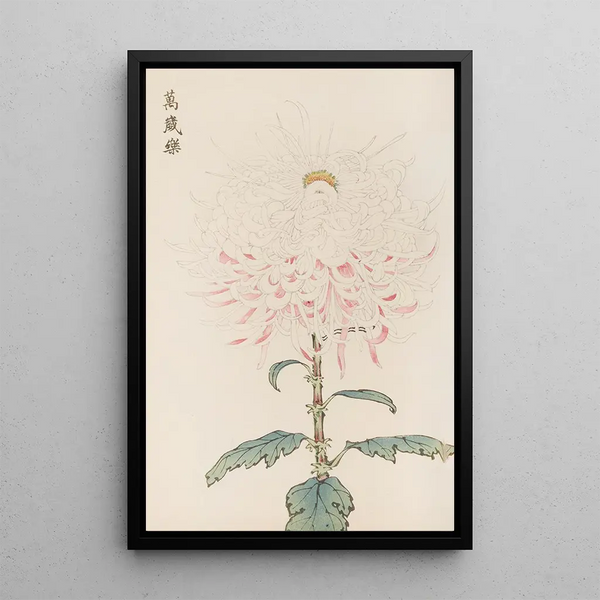 Keika hyakugiku Pl38 - Keika Hasegawa — framed artwork on a wall