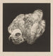 Kiekendief - Theo van Hoytema — artwork view