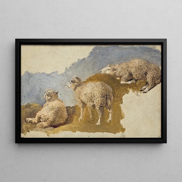 Study of Three Sheep - Kilian Zoll — framed artwork on a wall