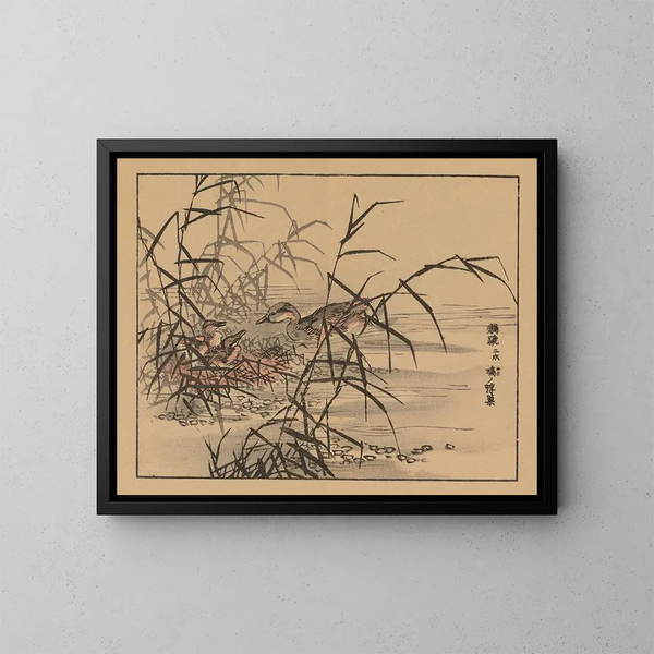 Bairei gafu, plate 14 - Kono Bairei — framed artwork on a wall