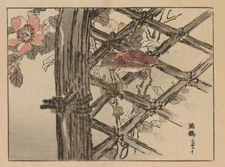 Bairei gafu, planche 22 - Kono Bairei — artwork view