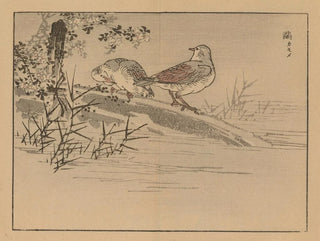 Bairei gafu, planche 31 - Kono Bairei — artwork view