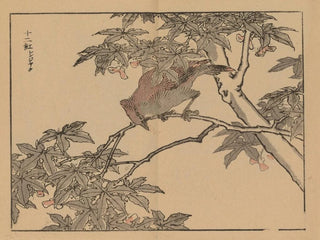 Bairei gafu, plate 32 - Kono Bairei — artwork view