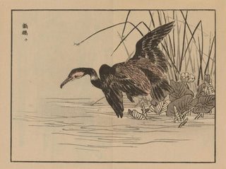 Album de Bairei, planche 33 - Kono Bairei — artwork view