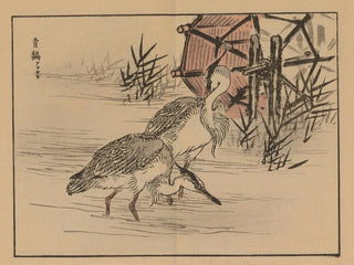 Bairei gafu, plate 35 - Kono Bairei — artwork view