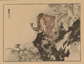 Bairei gafu, plate 36 - Kono Bairei — artwork view