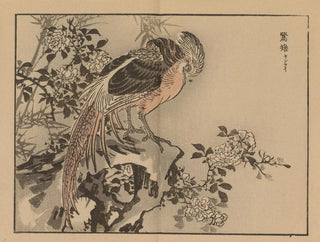 Bairei gafu, plate 37 - Kono Bairei — artwork view