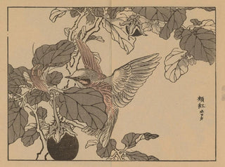 Bairei gafu, plate 38 - Kono Bairei — artwork view