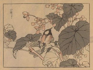 Bairei gafu, plate 39 - Kono Bairei — artwork view