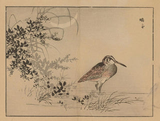 Bairei gafu, plate 40 - Kono Bairei — artwork view