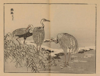 Bairei gafu, plate 42 - Kono Bairei — artwork view
