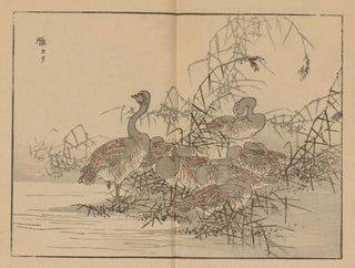 Bairei gafu painting, plate 43 - Kono Bairei — artwork view