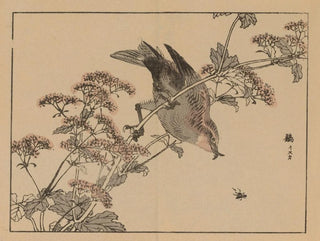 Bairei gafu Painting, plate 45 - Kono Bairei — artwork view