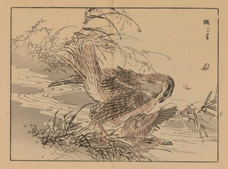 Bairei gafu Painting, plate 46 - Kono Bairei — artwork view