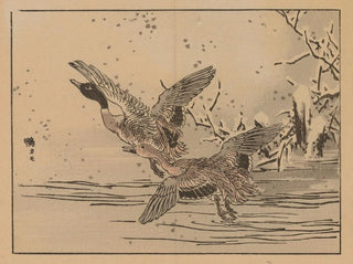 Bairei gafu, plate 47 - Kono Bairei — artwork view