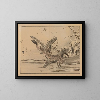 Bairei gafu, plate 47 - Kono Bairei — framed artwork on a wall
