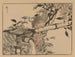 Bairei gafu Painting, plate 49 - Kono Bairei — artwork view