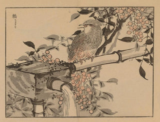 Bairei gafu Painting, plate 49 - Kono Bairei — artwork view