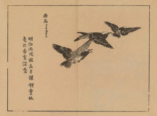 Bairei gafu, plate 50 - Kono Bairei — artwork view