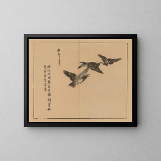 Bairei gafu, plate 50 - Kono Bairei — framed artwork on a wall