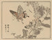 Bairei gafu, plate 51 - Kono Bairei — artwork view