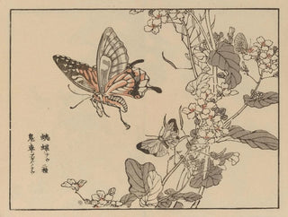 Bairei gafu, plate 51 - Kono Bairei — artwork view