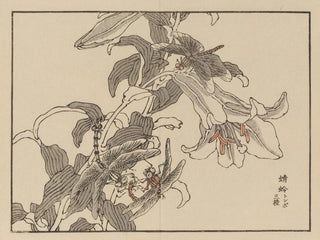 Bairei gafu, plate 52 - Kono Bairei — artwork view