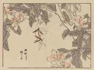 Bairei gafu Painting, plate 53 - Kono Bairei — artwork view