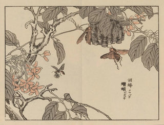 Bairei gafu Painting, plate 55 - Kono Bairei — artwork view