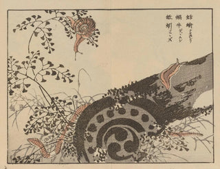 Bairei gafu, plate 56 - Kono Bairei — artwork view
