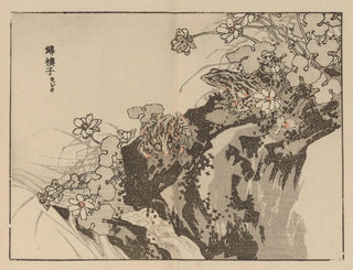 Bairei gafu, plate 57 - Kono Bairei — artwork view