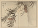 Bairei gafu Painting, plate 58 - Kono Bairei — artwork view