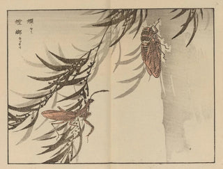 Bairei gafu Painting, plate 58 - Kono Bairei — artwork view