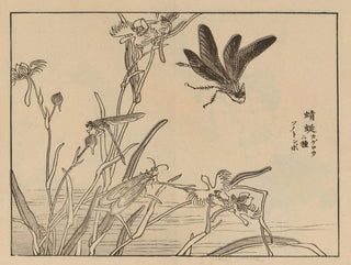 Bairei gafu Pl. 60 - Kono Bairei — artwork view