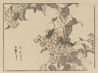 Bairei gafu Painting, plate 61 - Kono Bairei — artwork view