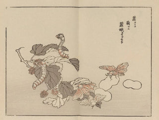 Bairei gafu Pl. 62 - Kono Bairei — artwork view