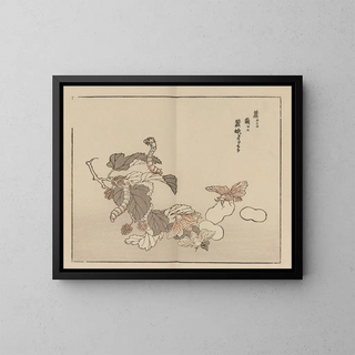 Bairei gafu Pl. 62 - Kono Bairei — framed artwork on a wall