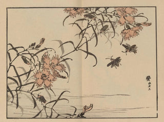 Bairei gafu, plate 65 - Kono Bairei — artwork view