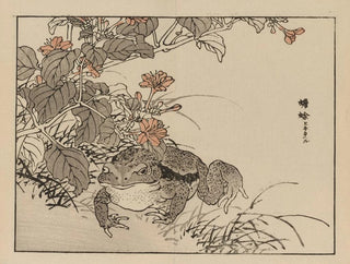 Bairei gafu, plate 71 - Kono Bairei — artwork view