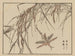 Bairei gafu, plate 72 - Kono Bairei — artwork view